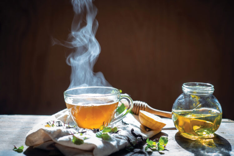 Creole Healers and Herbs